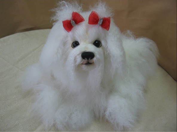 white_dog_2.jpg