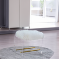 Fur Ottoman With Lucite/Acrylic Base