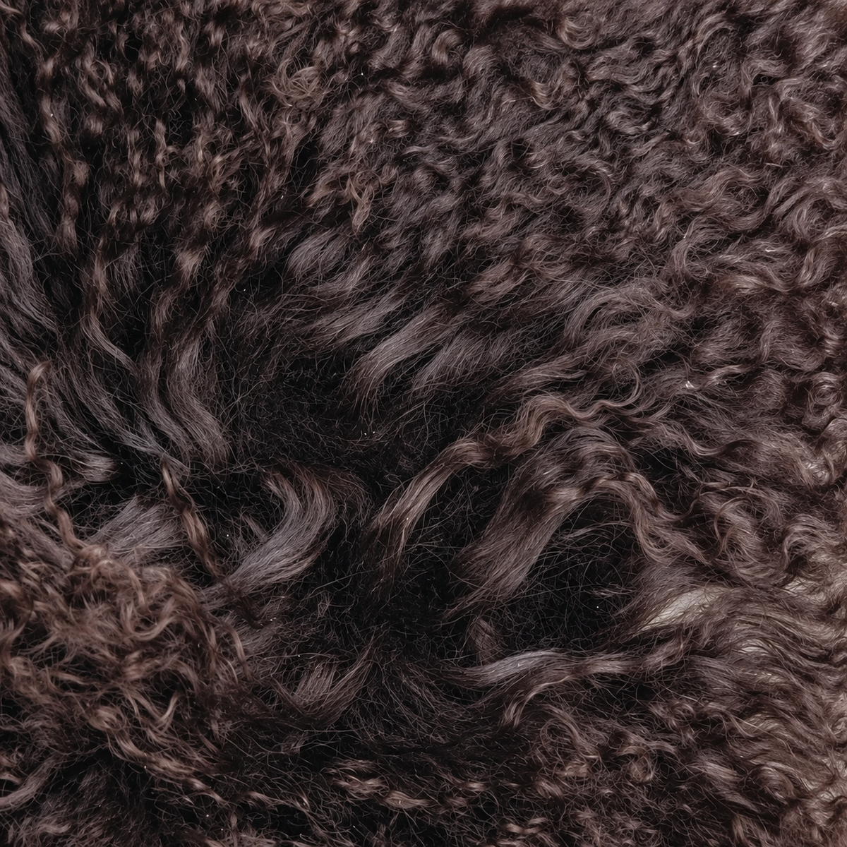 Dark brown Mongolian/Tibetan Lamb Fur Sheepskin Plate - 2' × 2'