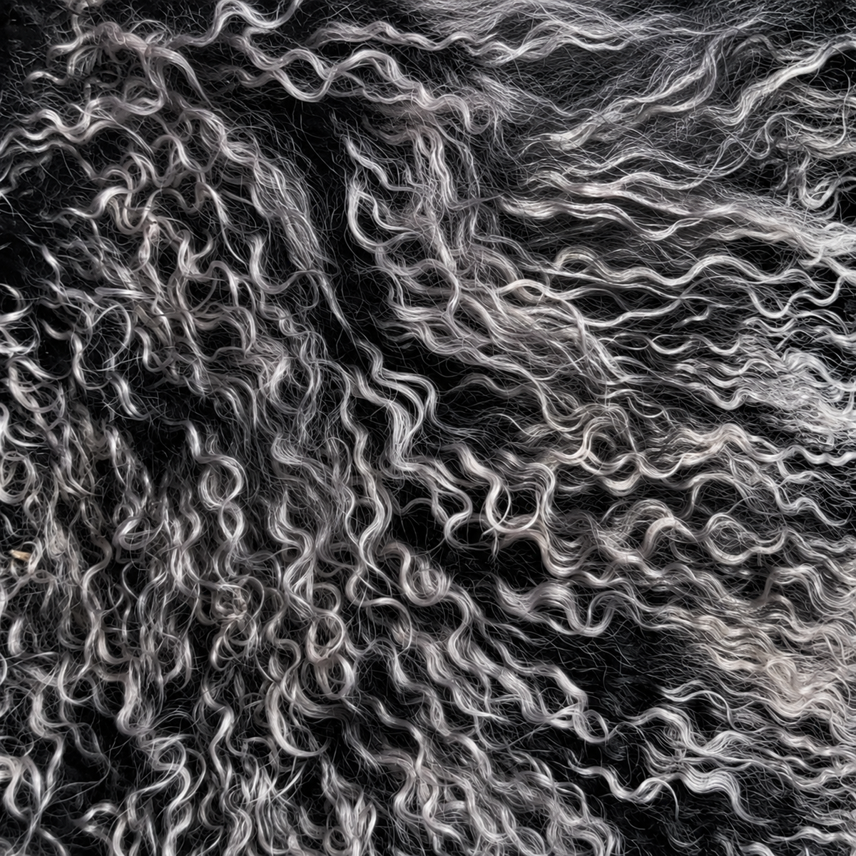 Frosted black Mongolian/Tibetan Lamb Fur Sheepskin Plate - 2' × 2'