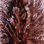 Frosted mocha Mongolian/Tibetan Lamb Fur Sheepskin Plate - 2' × 2'